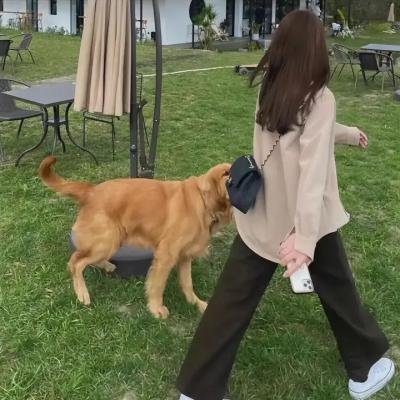 翻转追缉令